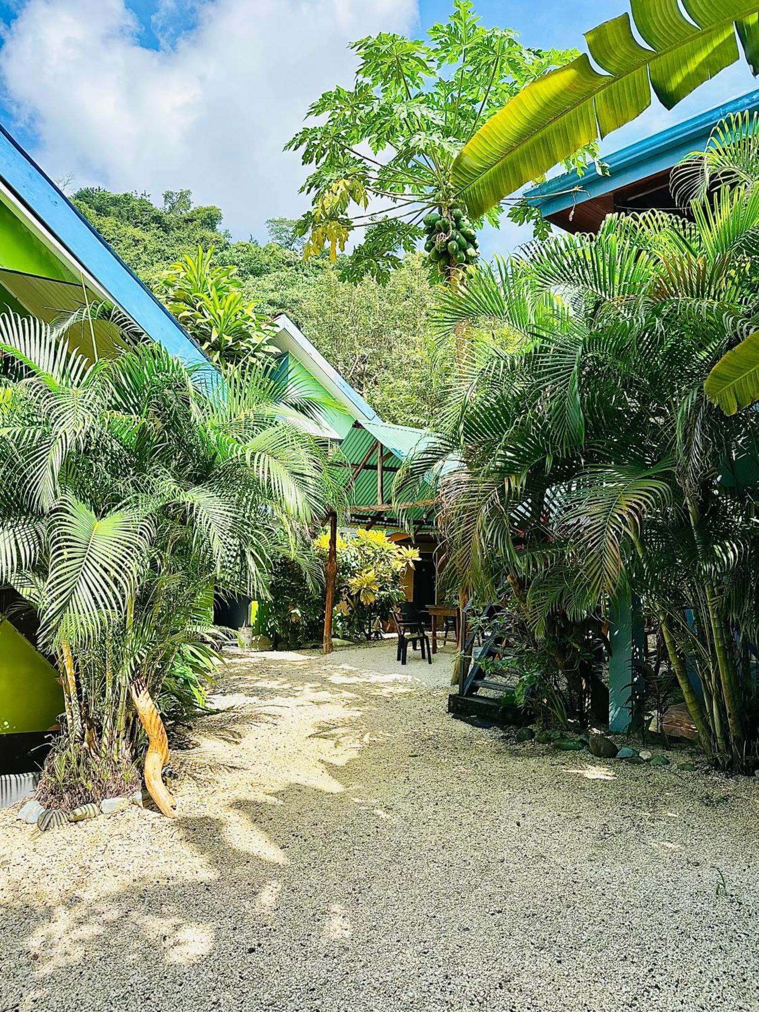 Surf Paradise Hotel *