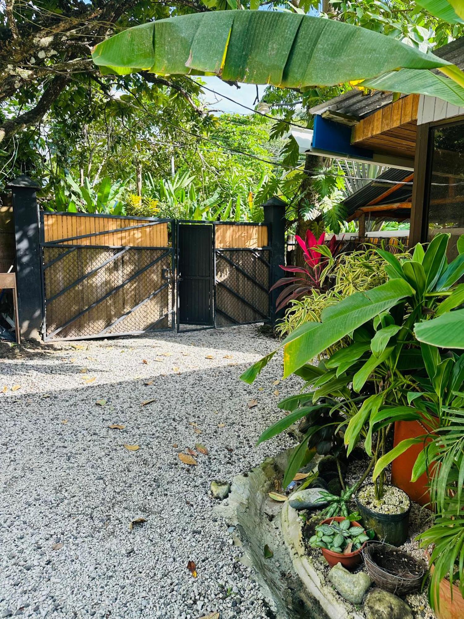 Hotel Surf Paradise