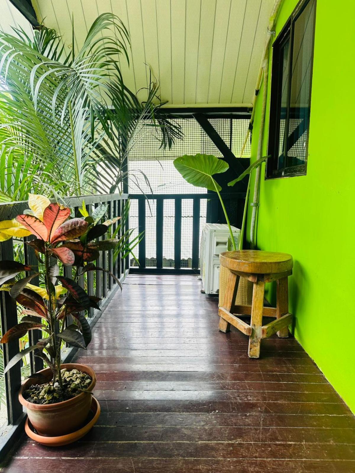 Surf Paradise Hotel