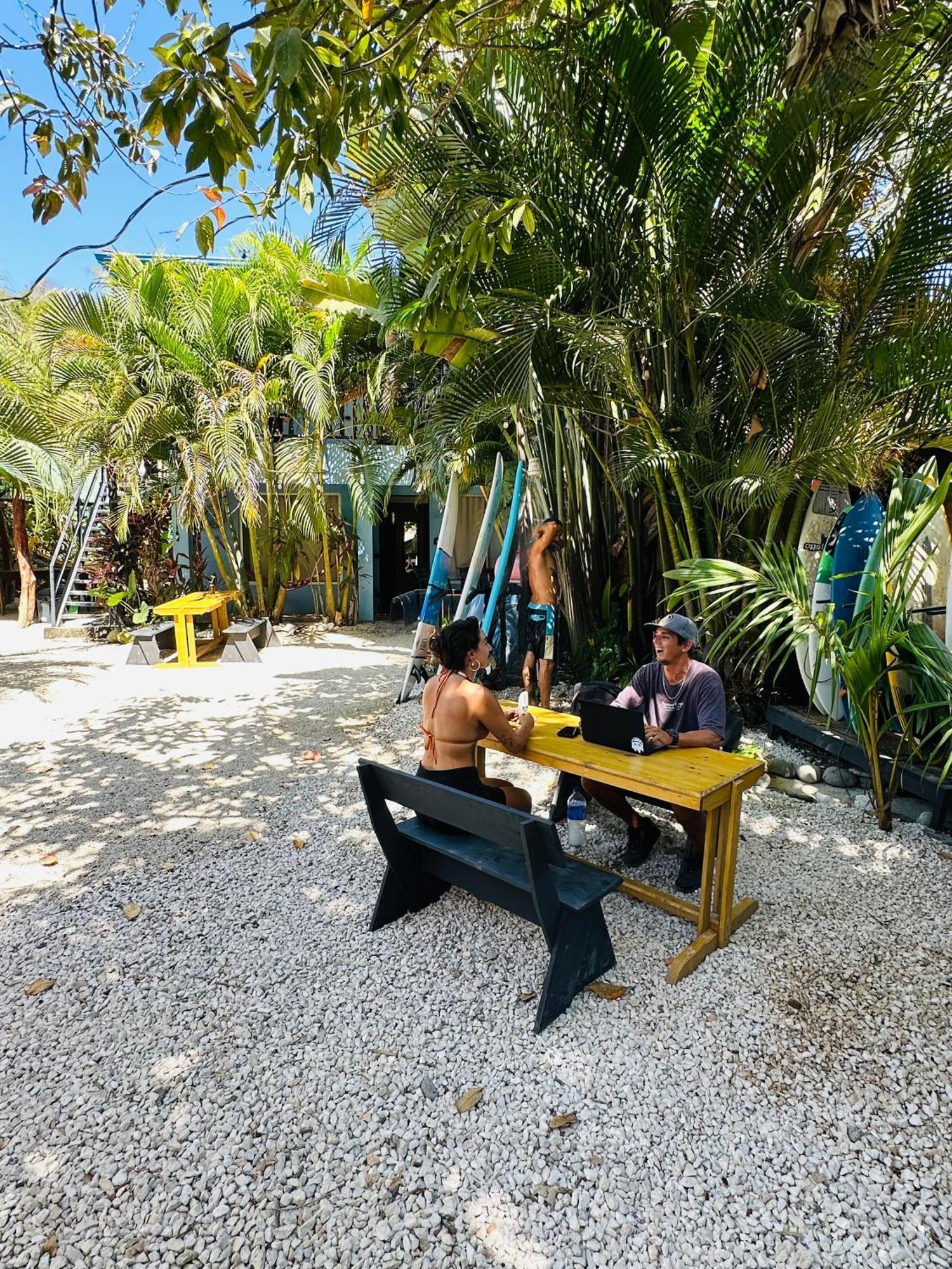 Hotel Surf Paradise