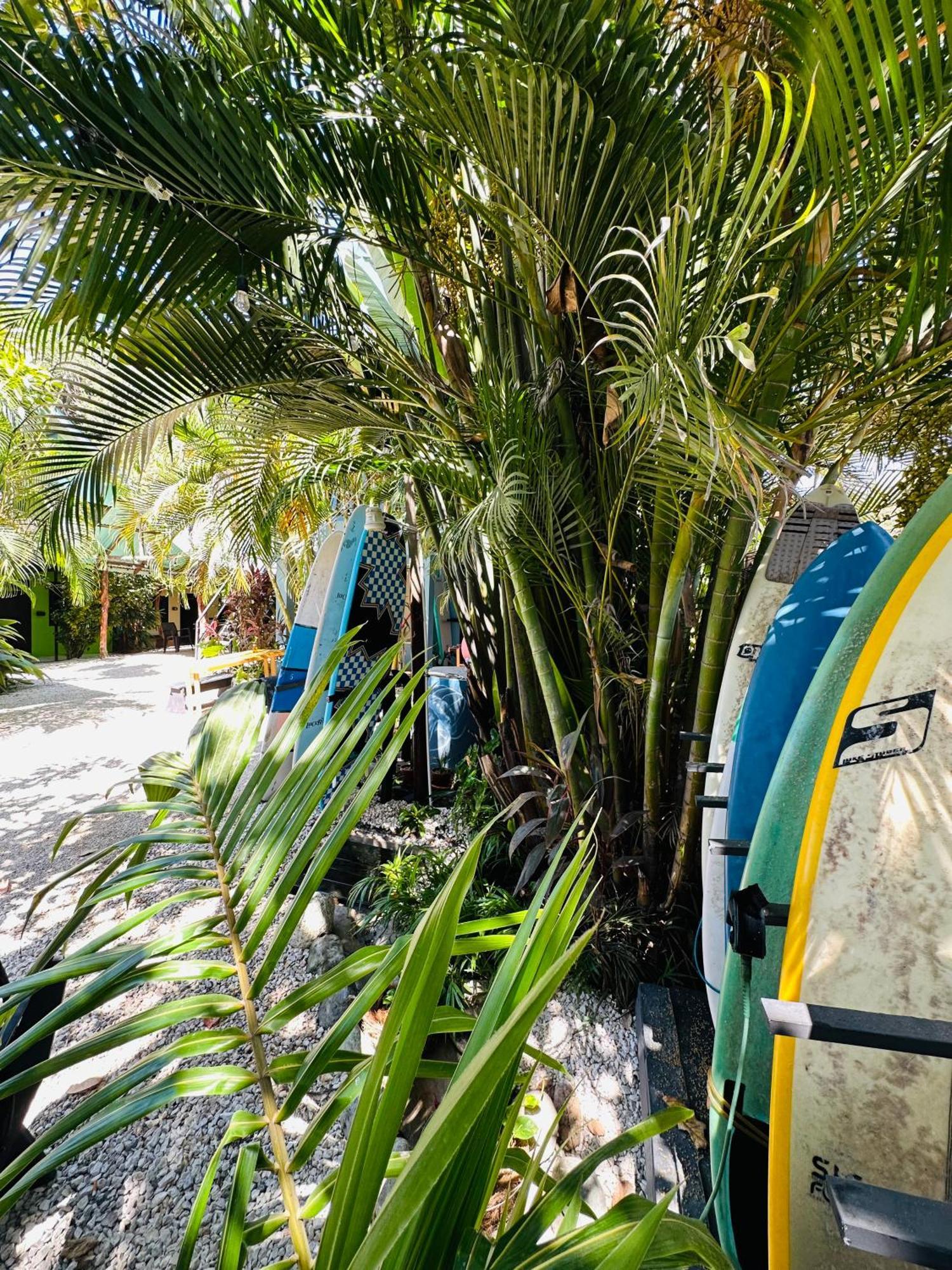 Surf Paradise Hotel *